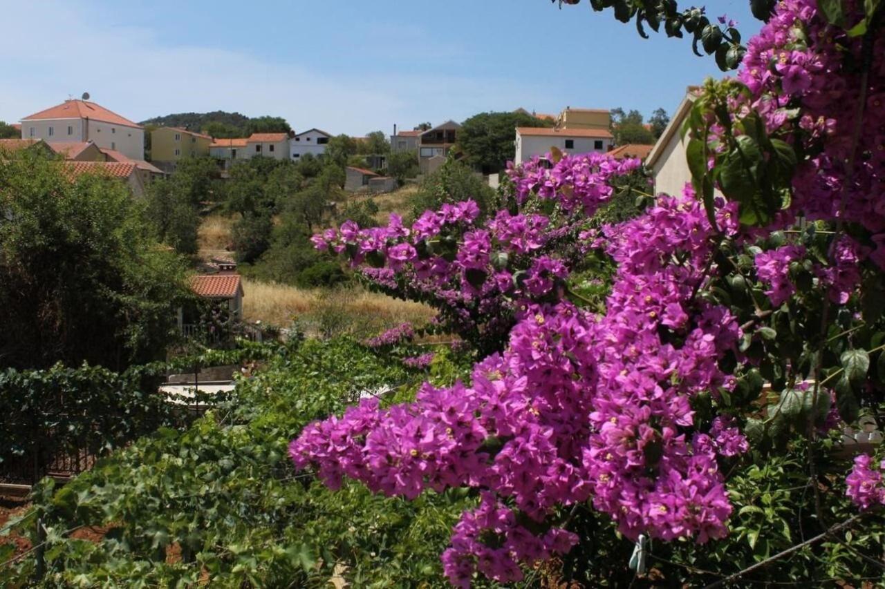 Apartment Ralje Sali Dış mekan fotoğraf